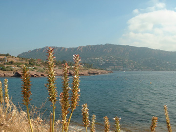 Coast by Issambres