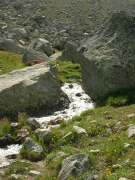 A Cute Stream that Katy Needed to Photograph